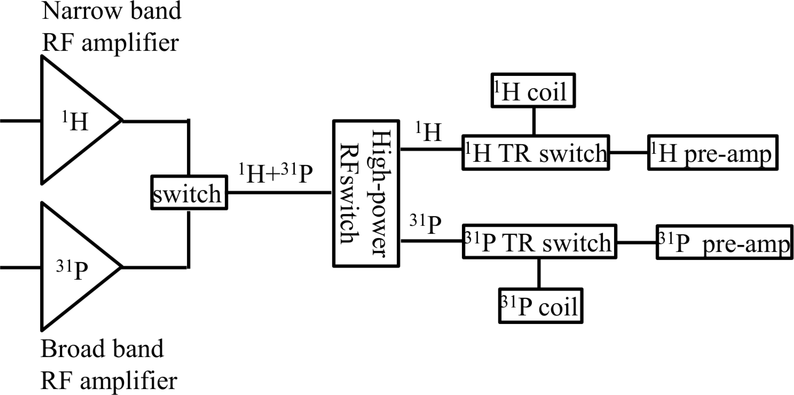 imri-22-26f2.tif