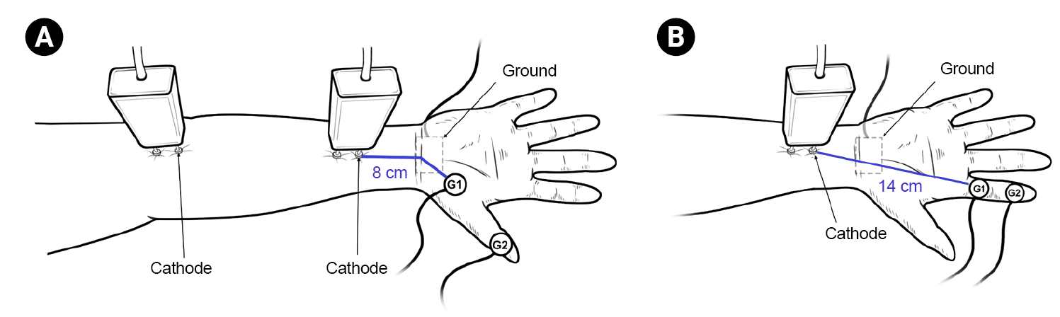 arm-240015f2.tif