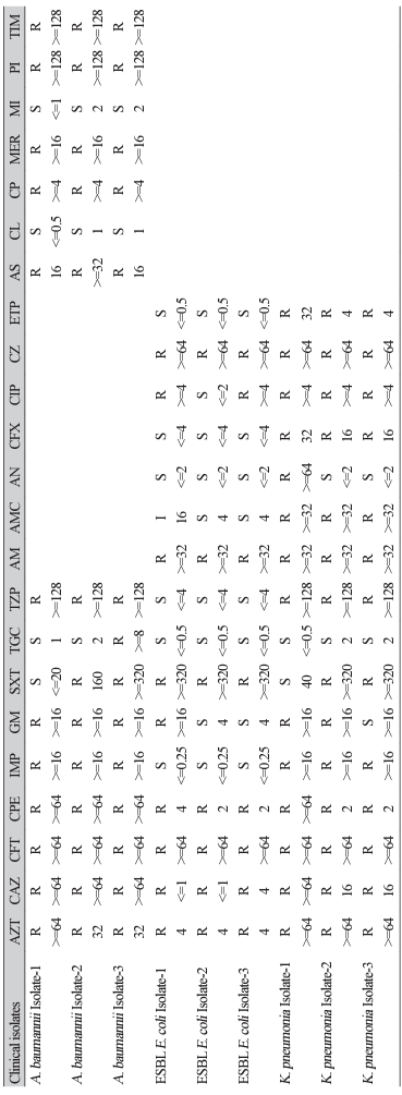 ACM-2502-01-t1.png