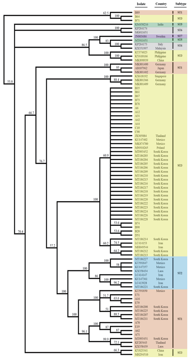 ACM-2601-02-f1.png