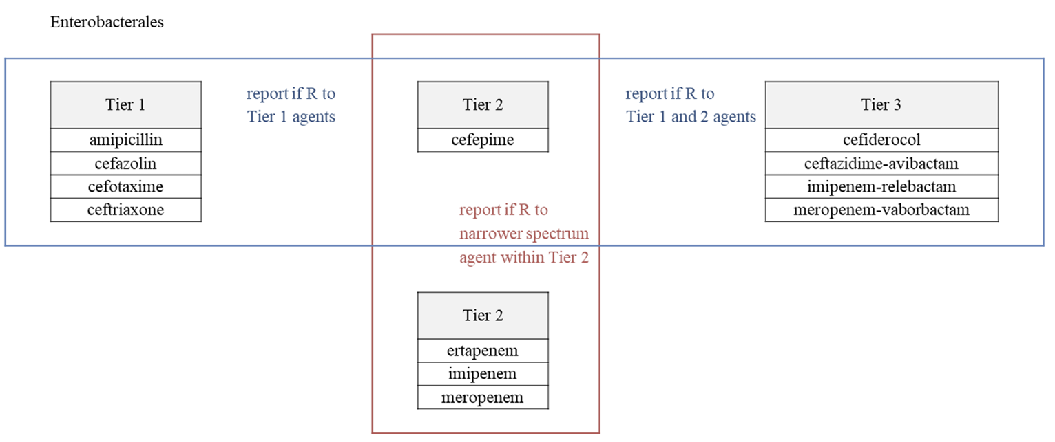 ACM-2603-02-f1.png