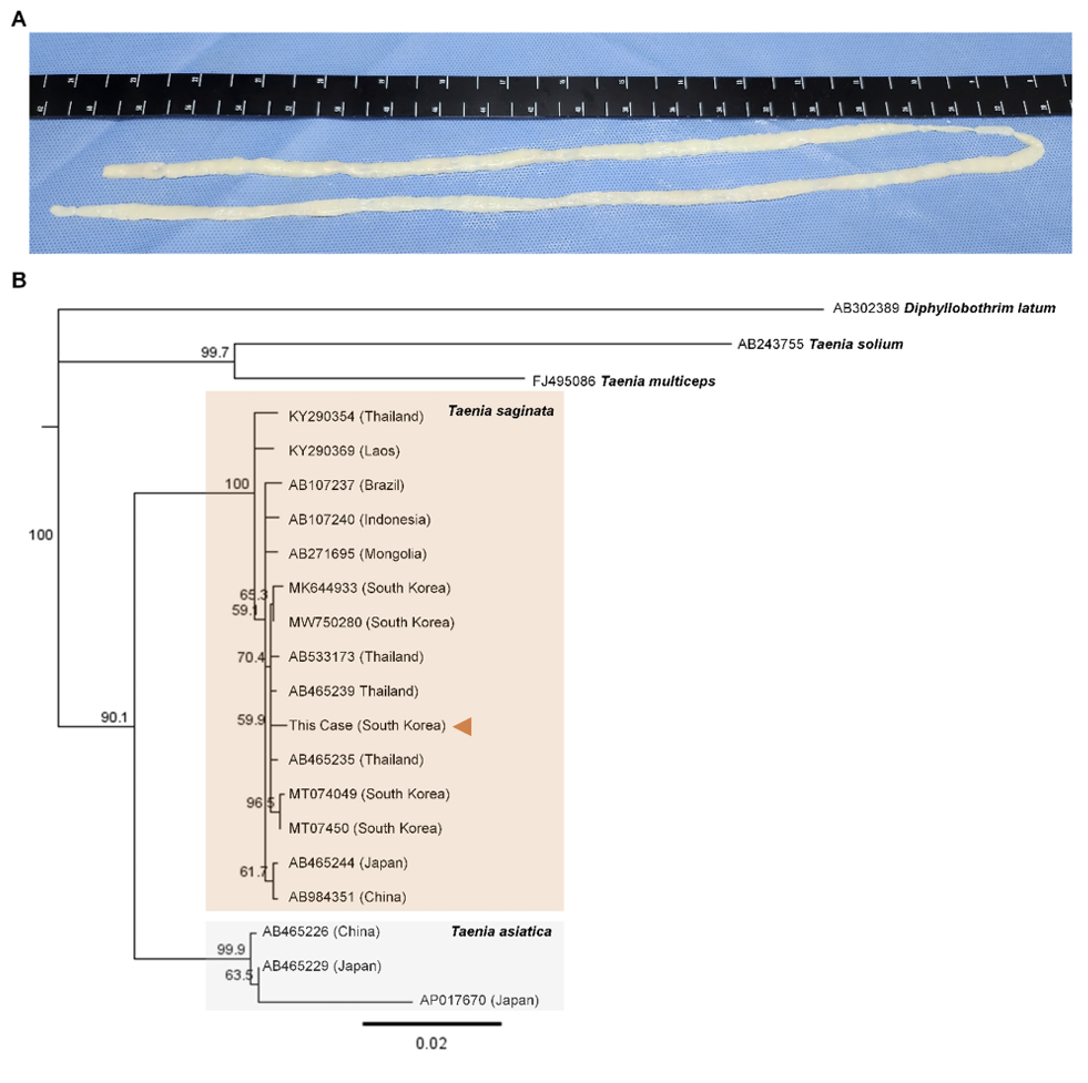 ACM-2604-09-f1.png