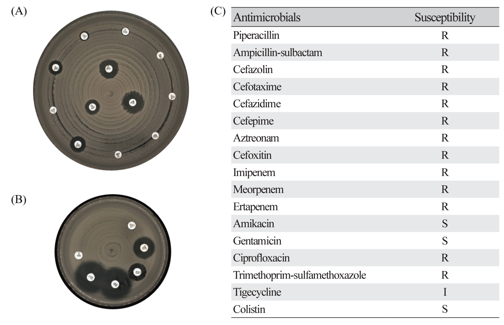 acm_2302_004-f3.png