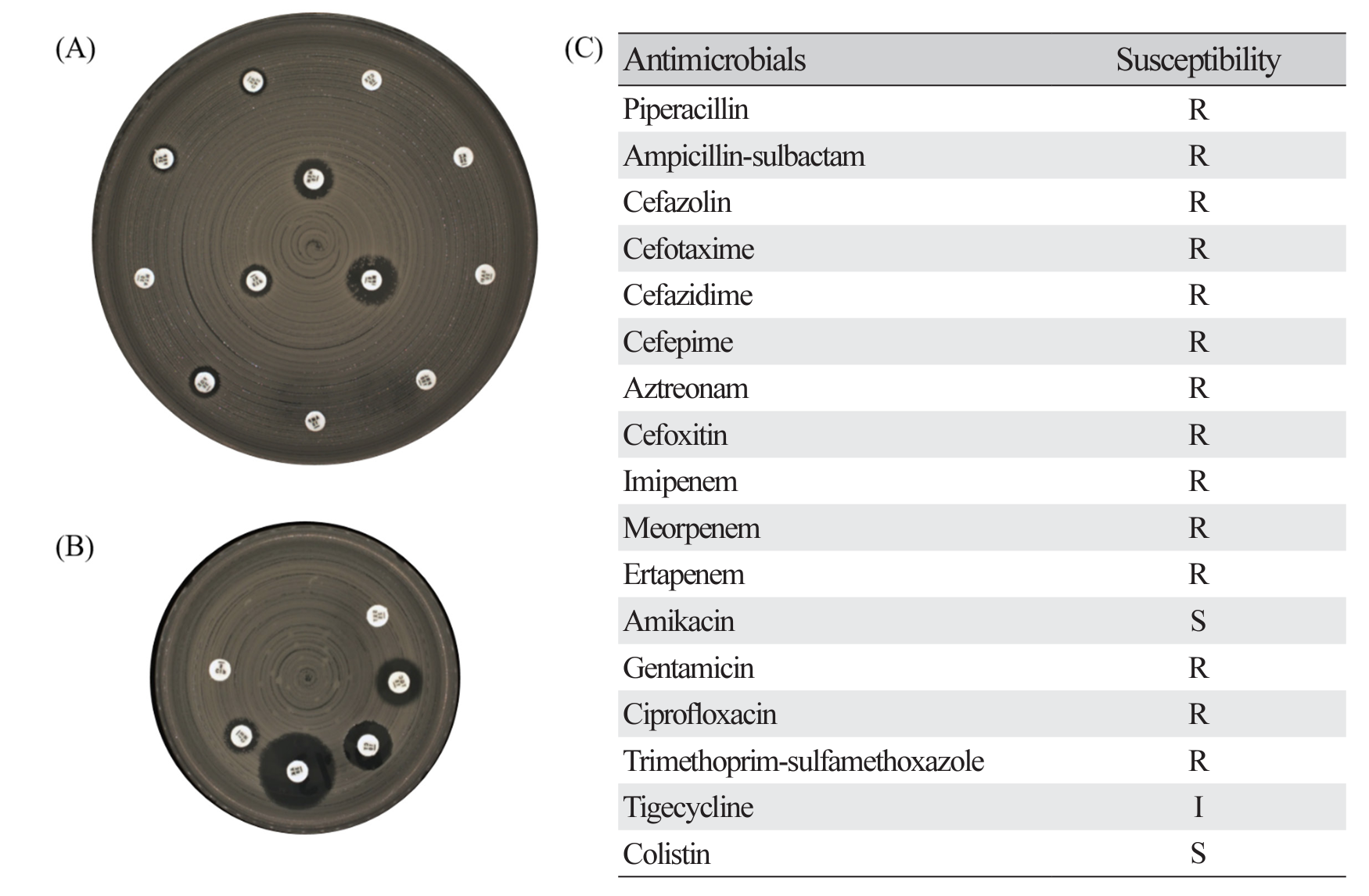 acm_2302_004-f4.png