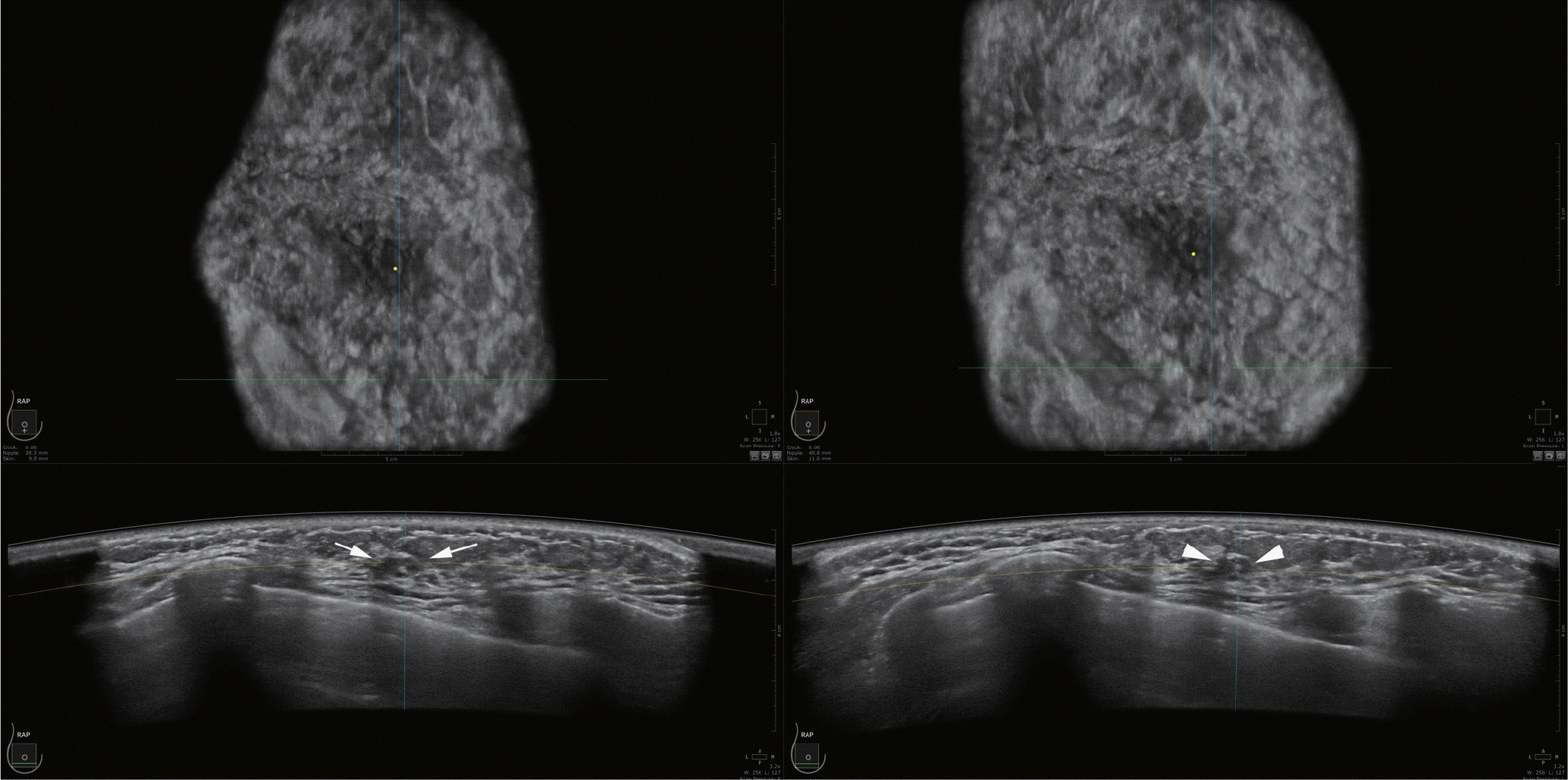 jksr-80-32f4.tif