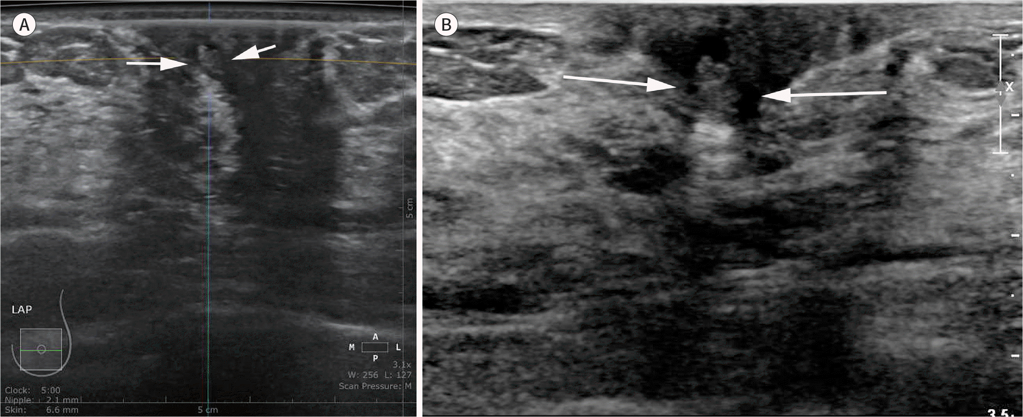 jksr-80-32f7.tif