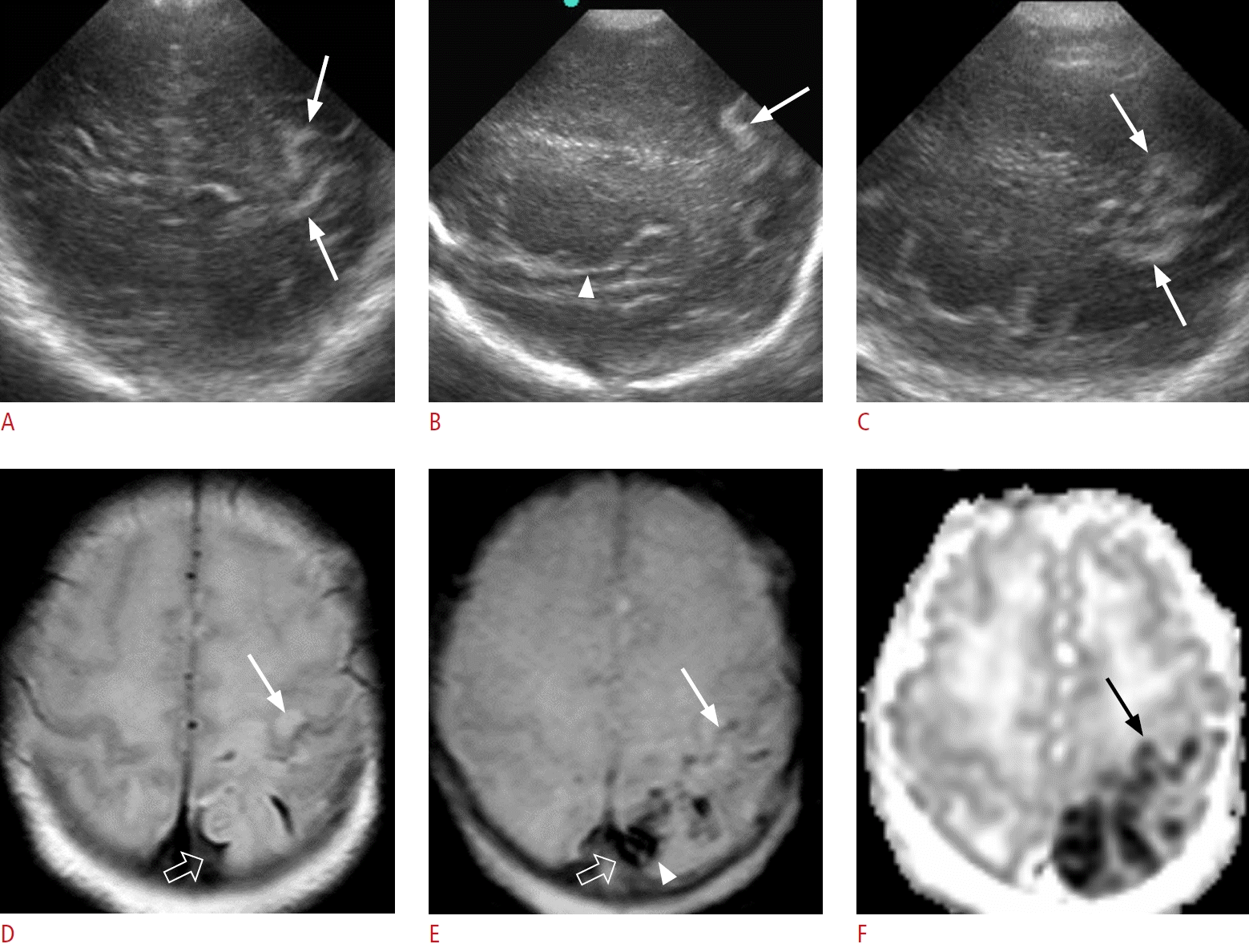 KoreaMed Synapse