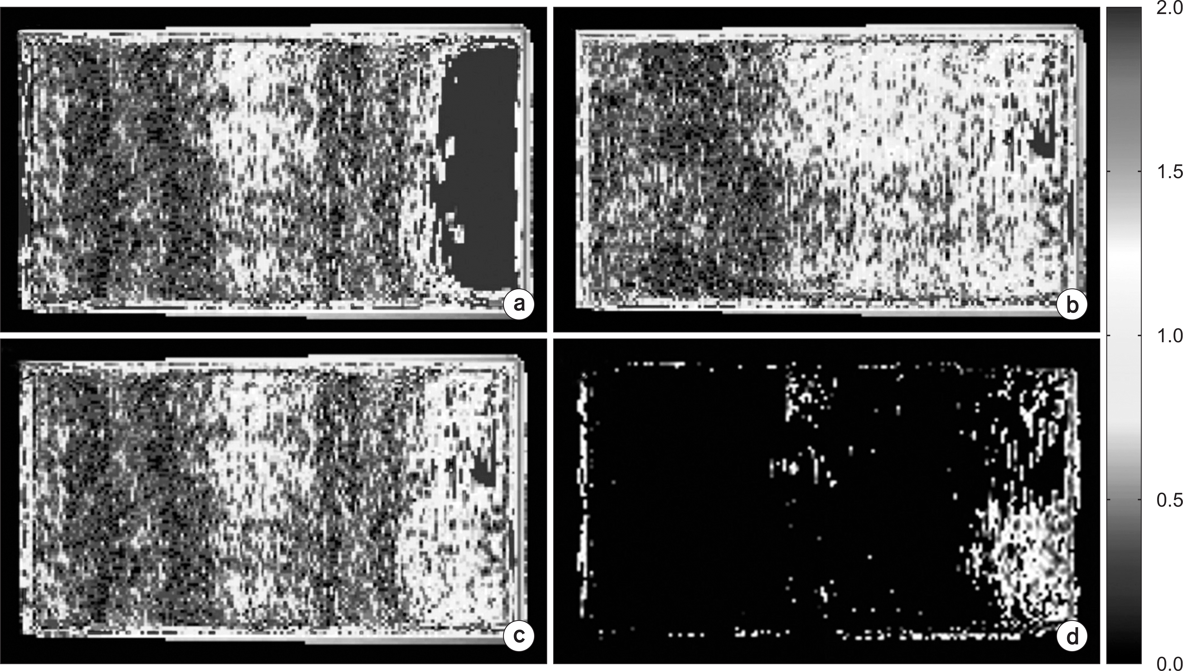 pmp-28-16f4.tif