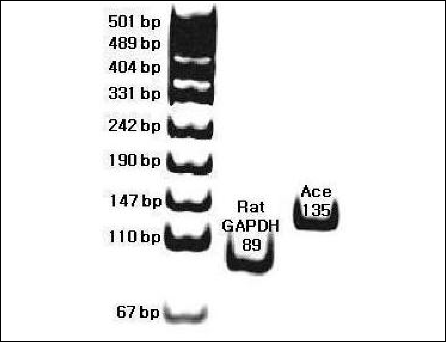 jksh-17-28f1.tif